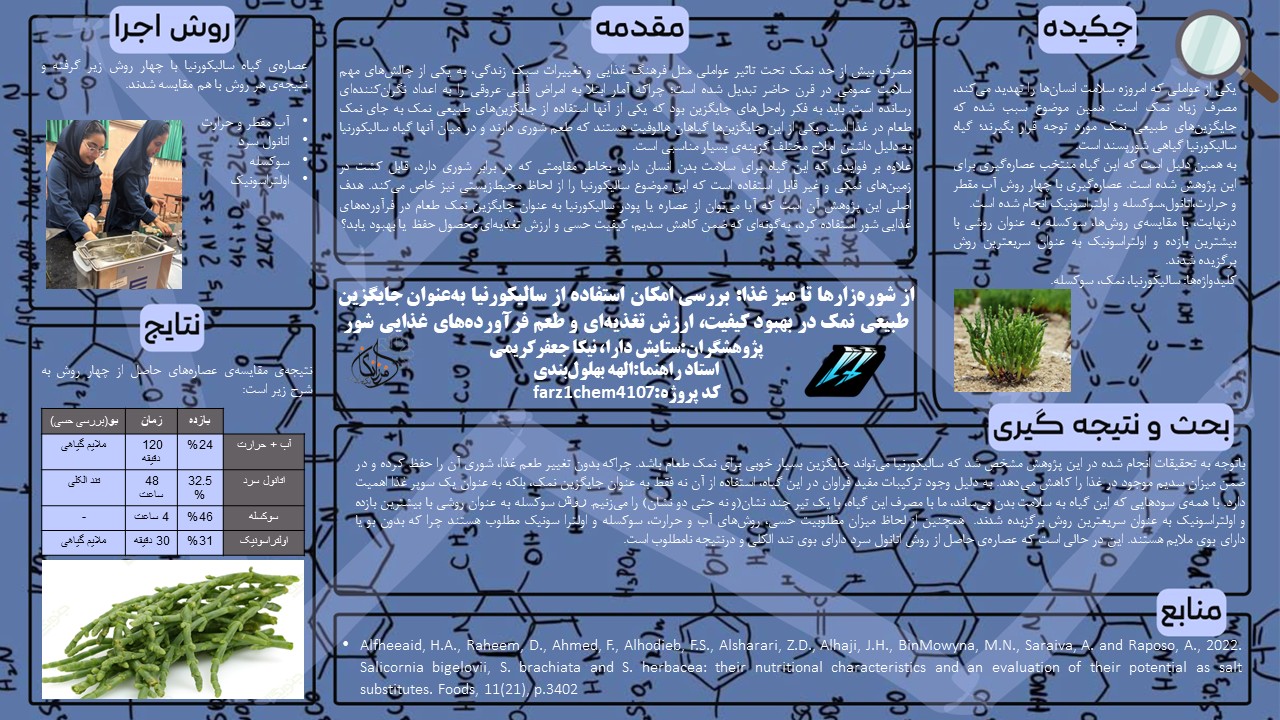 پوستر پروژه